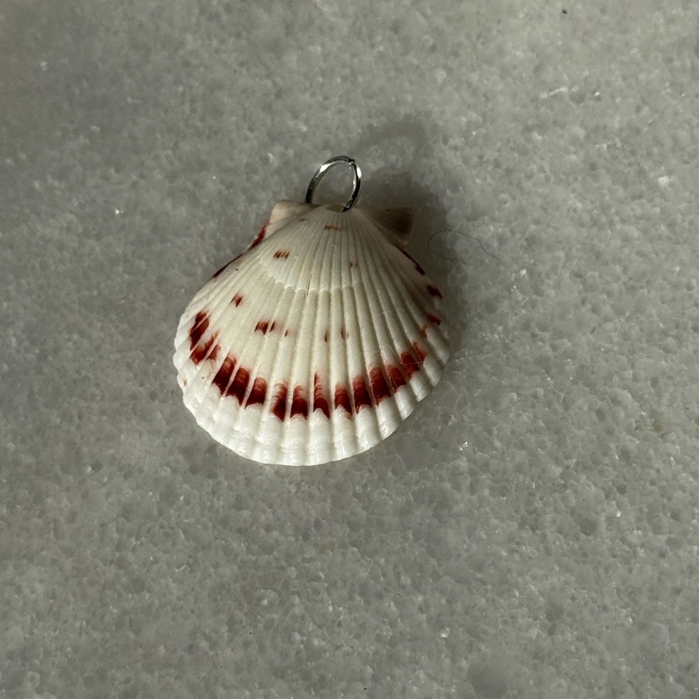 White and Red Scallop Seashell Pendant